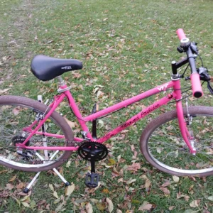 VTC RAYMOND POULIDOR ROSE